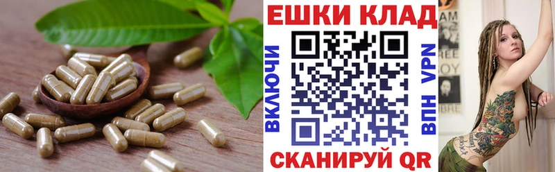 Ecstasy TESLA  МЕГА вход  Крым  наркота 