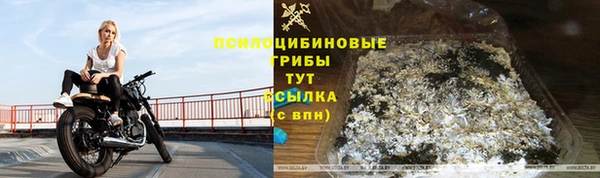 прущий лед Вязники