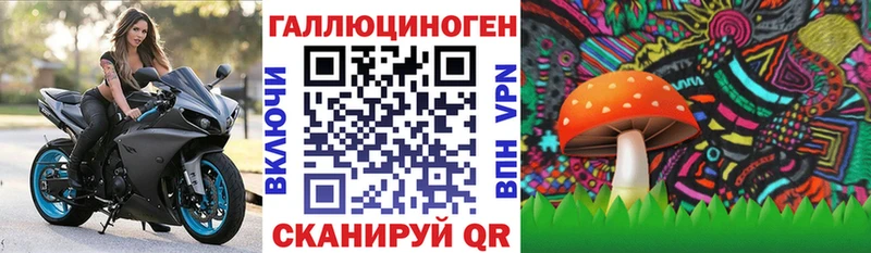 Псилоцибиновые грибы прущие грибы  Крым 